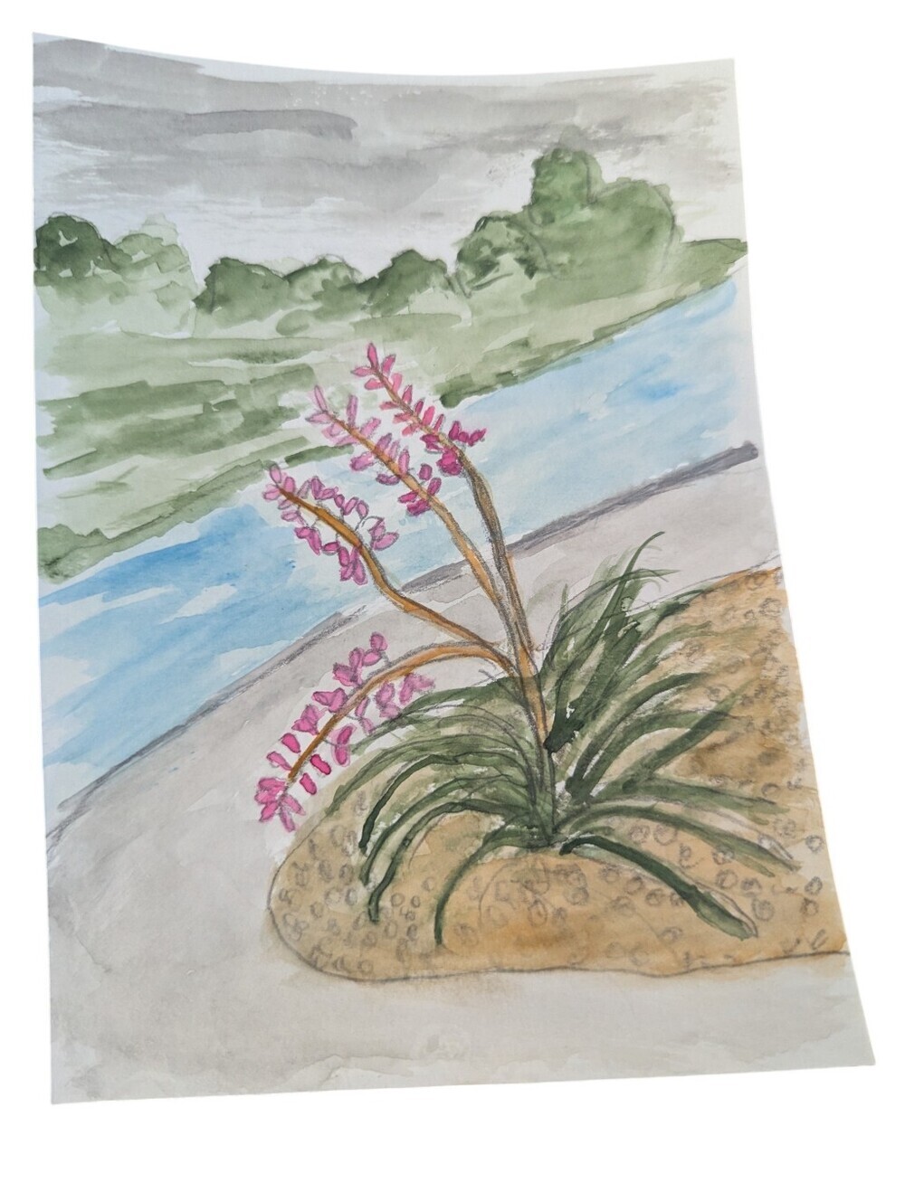 Hand-Painted Watercolor Floral Landscape with Pink Blooms,5'x7